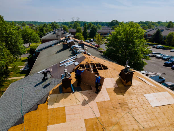 Best Flat Roof Repair Services  in Boaz, WV