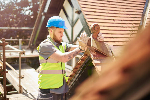 Best Roof Leak Repair  in Boaz, WV